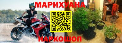 бошки Долгопрудный