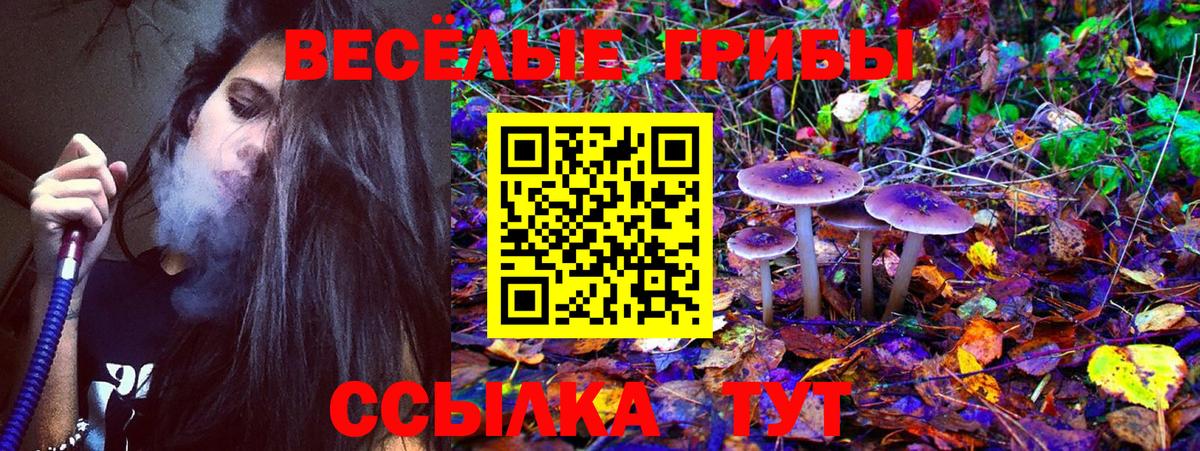 Псилоцибиновые грибы MAGIC MUSHROOMS  Вход с VPN  Надым  Псилоцибиновые грибы Cubensis 