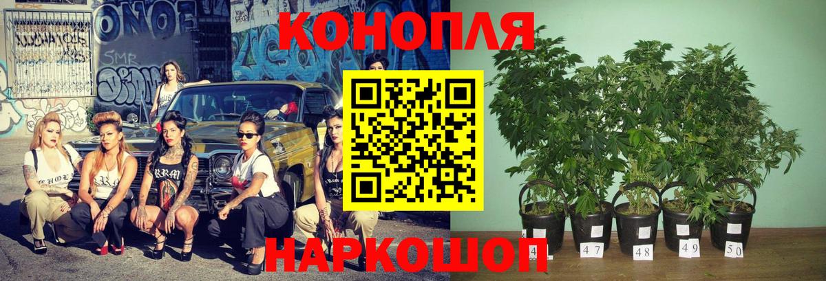 Конопля SATIVA & INDICA Надым